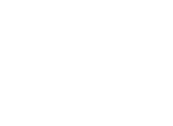 Newly Born logo in white